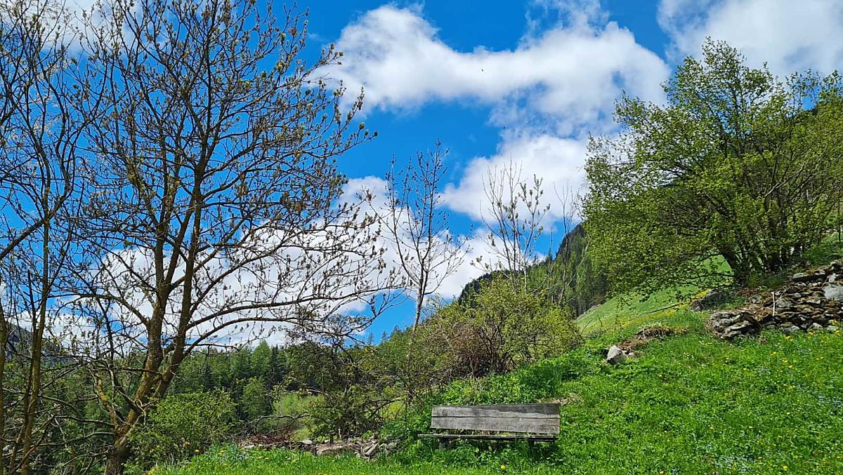 Intorno al Seeberhof ci sono molti luoghi preferiti in cui soffermarsi e rilassarsi. 