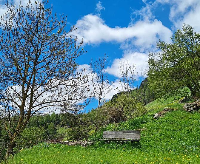 Intorno al Seeberhof ci sono molti luoghi preferiti in cui soffermarsi e rilassarsi. 