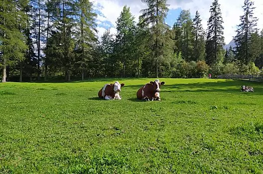 Obersanterhof - Liste Photo
