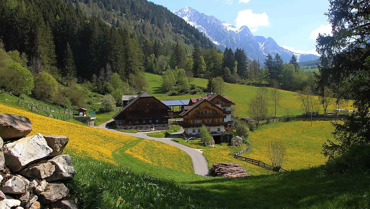 Bergerhof - Bildergalerie Photo