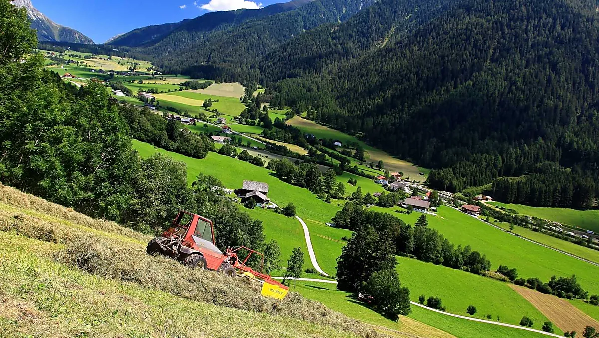 La fienagione al Bergerhof