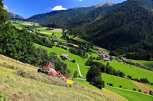 La fienagione al Bergerhof