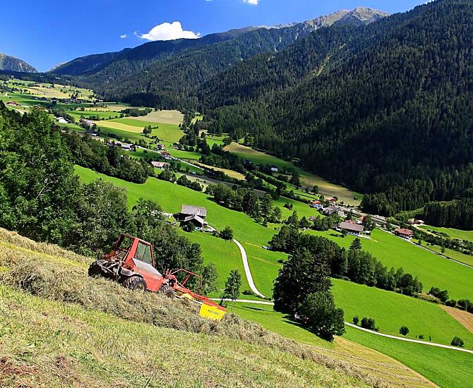 La fienagione al Bergerhof