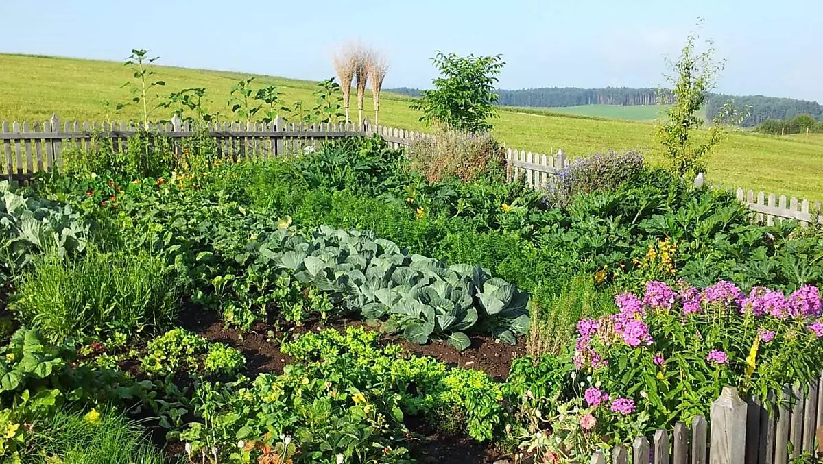 In estate, l'orto del nostro maso è un luogo emozionante con la sua varietà di verdure verdure e fiori deliziosi e freschi.