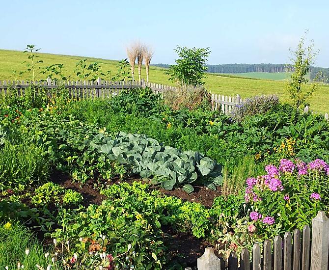 In estate, l'orto del nostro maso è un luogo emozionante con la sua varietà di verdure verdure e fiori deliziosi e freschi.