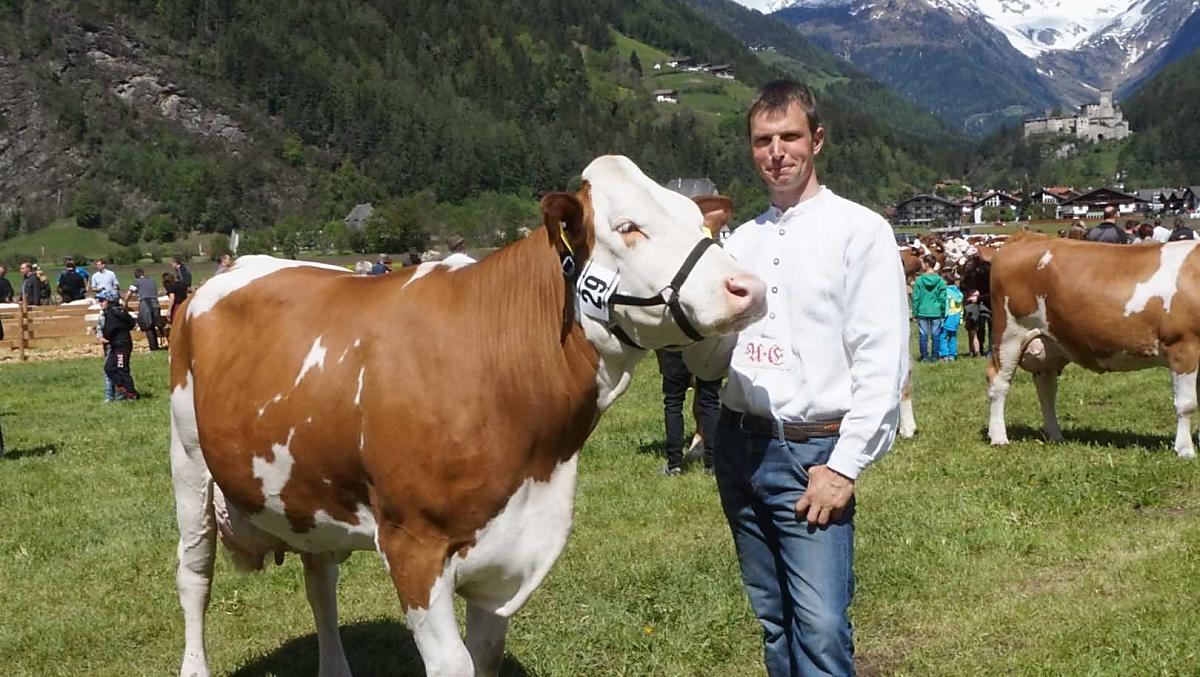 Il contadino Andreas a una fiera del bestiame 