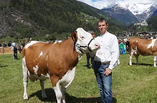 Il contadino Andreas a una fiera del bestiame 