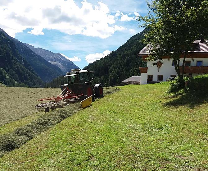 Il contadino Andreas prepara i rastrelli per il fieno, che vengono poi caricati sul Transporter.