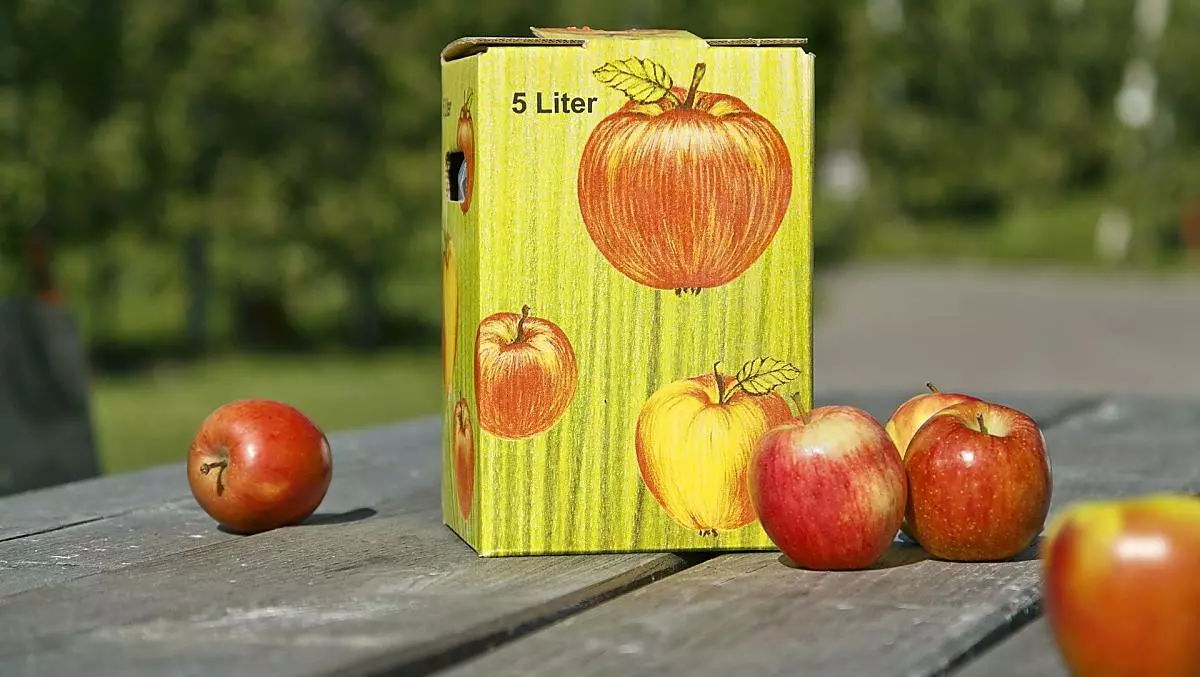 Succo di mela naturalmente torbido di produzione del maso
