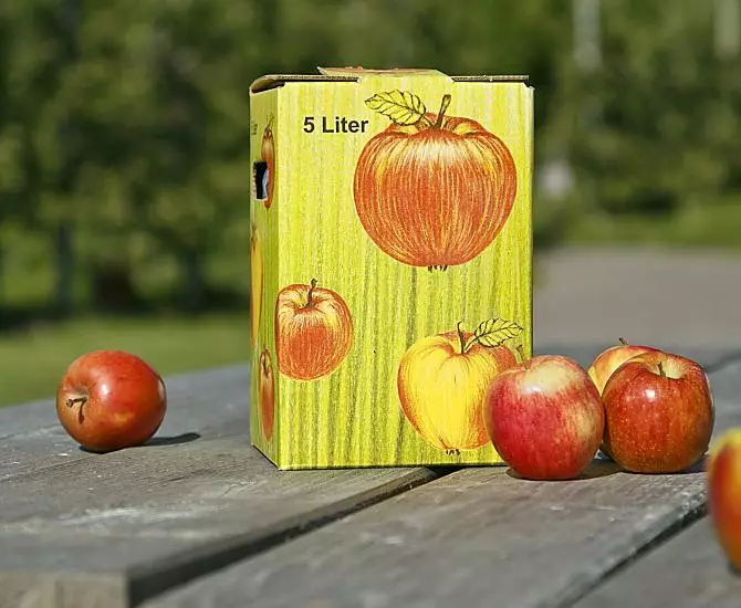 Succo di mela naturalmente torbido di produzione del maso