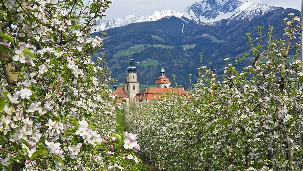 Schlettererhof - Bildergalerie Photo