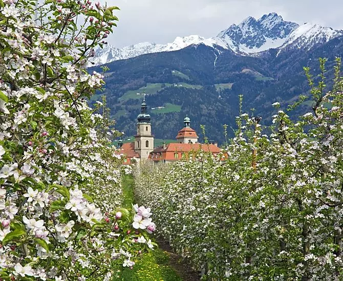Schlettererhof - Bildergalerie Photo