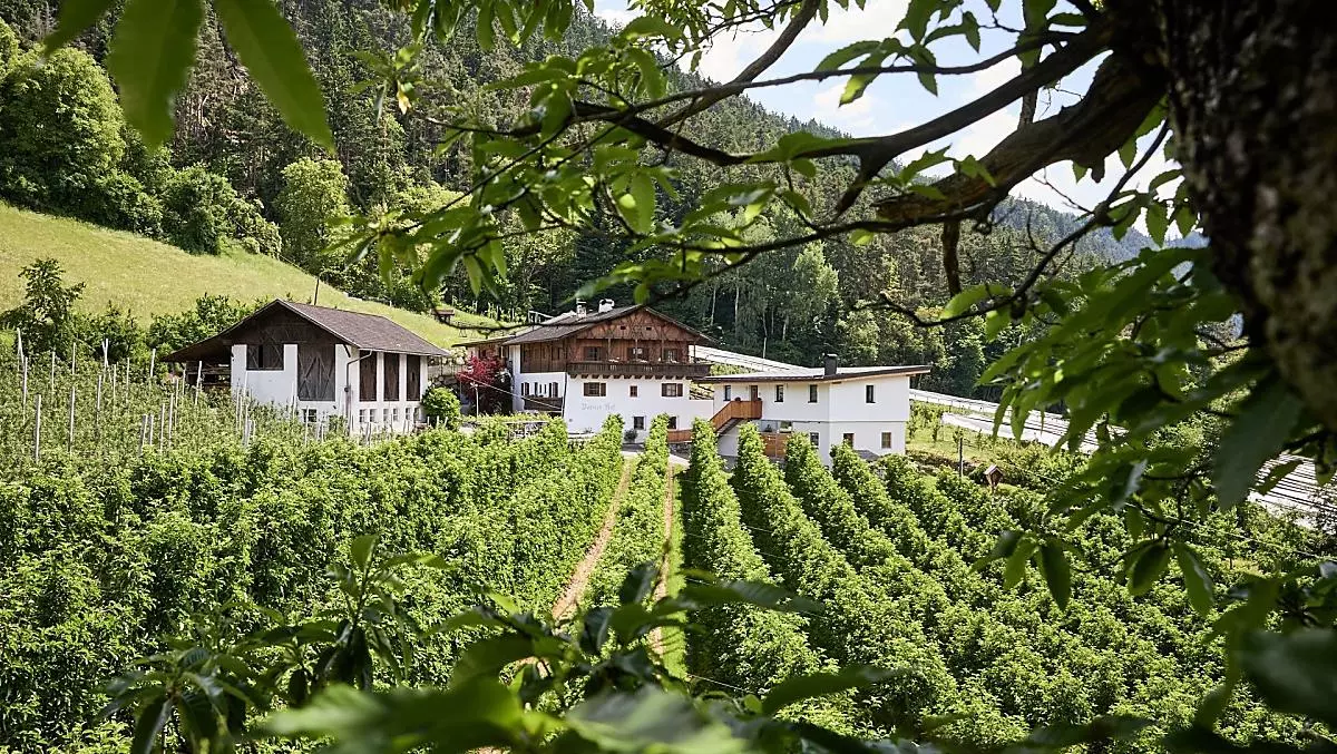 Bodnerhof - Bildergalerie Photo