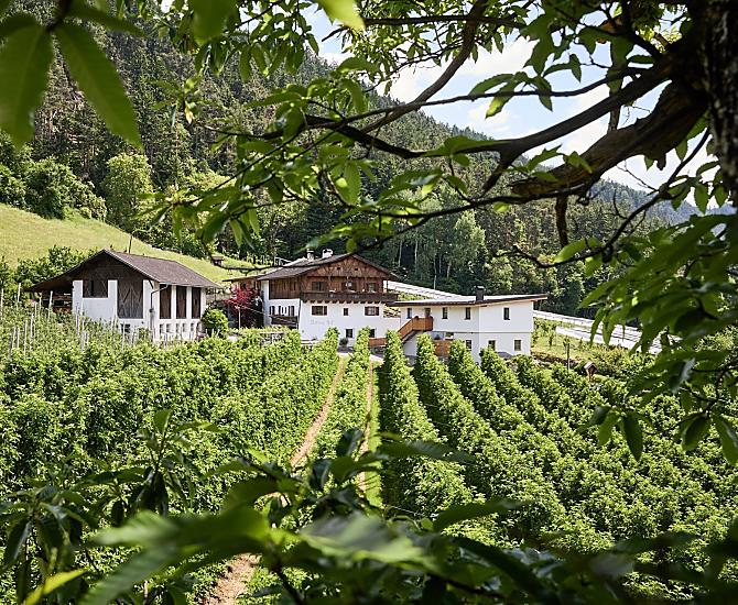 Bodnerhof - Bildergalerie Photo
