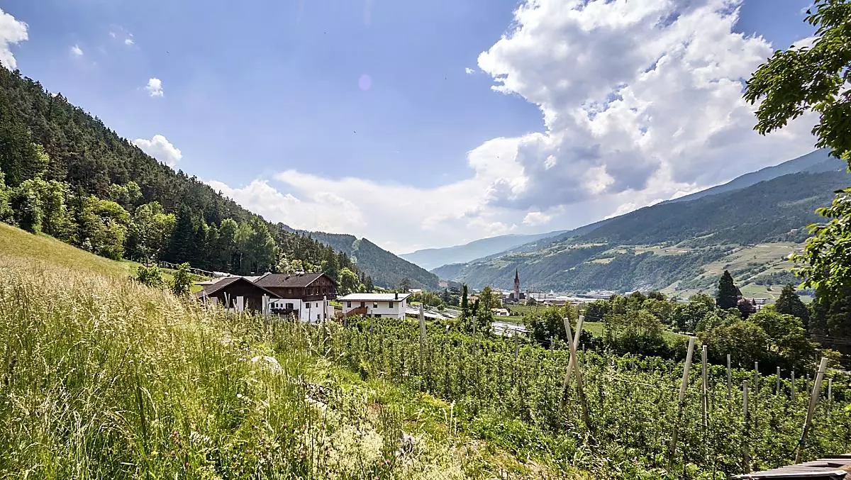 Bodnerhof - Bildergalerie Photo