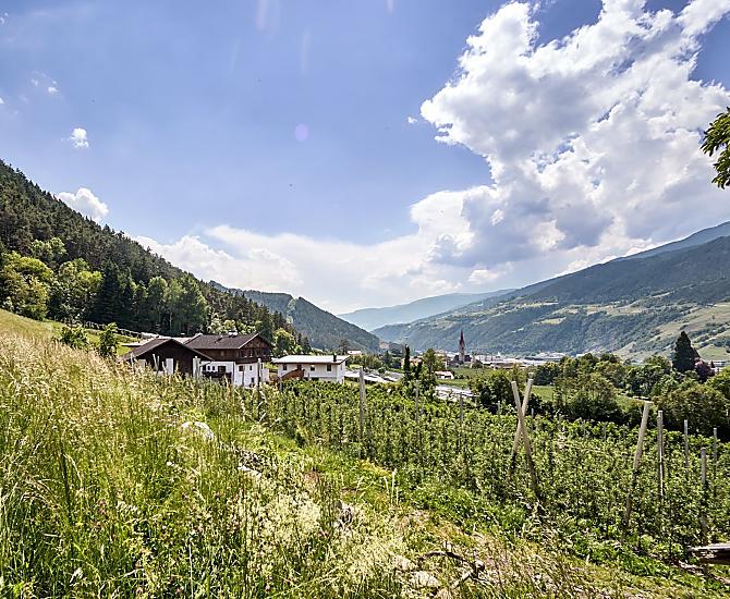 Bodnerhof - Bildergalerie Photo