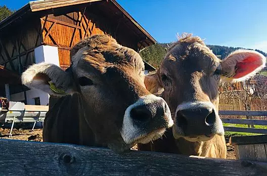 Oberpiskoi - Liste Photo