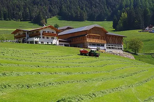 Lavoro nel prato