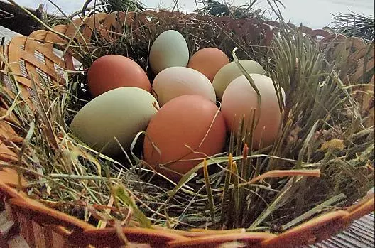 Uova fresche dalle nostre galline felici