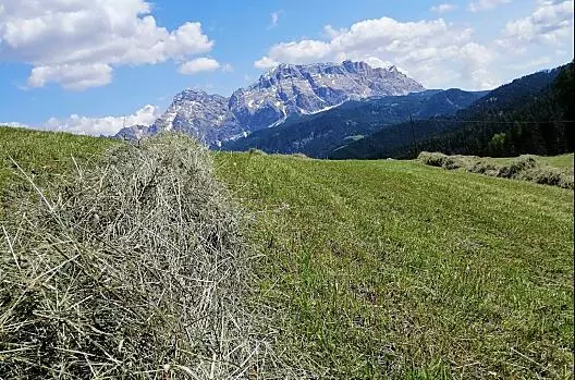Lavoro con il fieno
