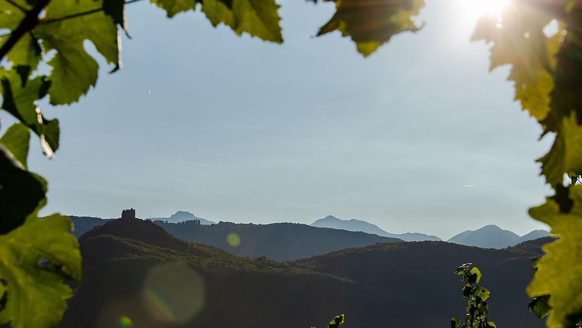 La vegetazione si sta risvegliando e in primavera non c'è niente di più bello che fare un'escursione a Castelchiaro e godersi i primi raggi di sole.