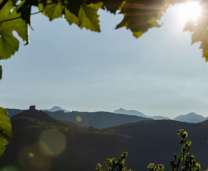 La vegetazione si sta risvegliando e in primavera non c'è niente di più bello che fare un'escursione a Castelchiaro e godersi i primi raggi di sole.