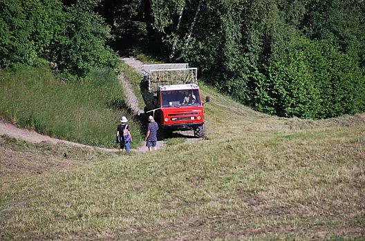 Il lavoro col fieno