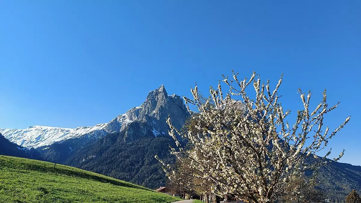 Treffhof - Bildergalerie Photo
