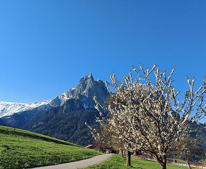 Treffhof - Bildergalerie Photo