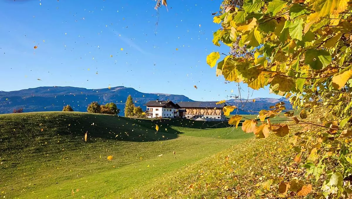 Treffhof - Bildergalerie Photo