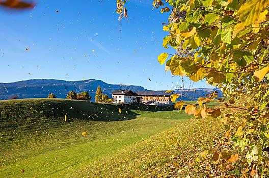 Herbst