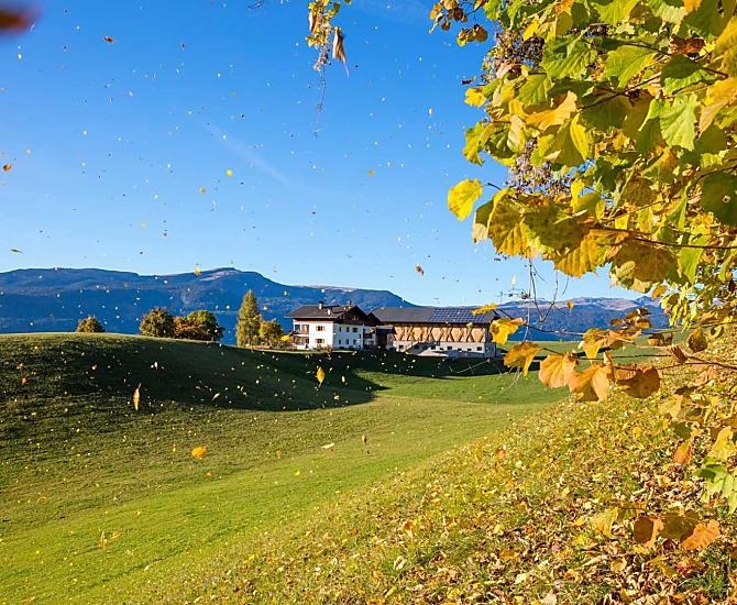Treffhof - Bildergalerie Photo