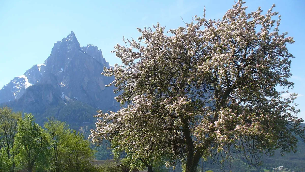 Treffhof - Bildergalerie Photo