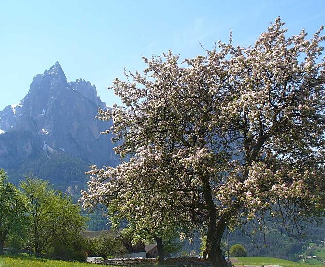 Treffhof - Bildergalerie Photo