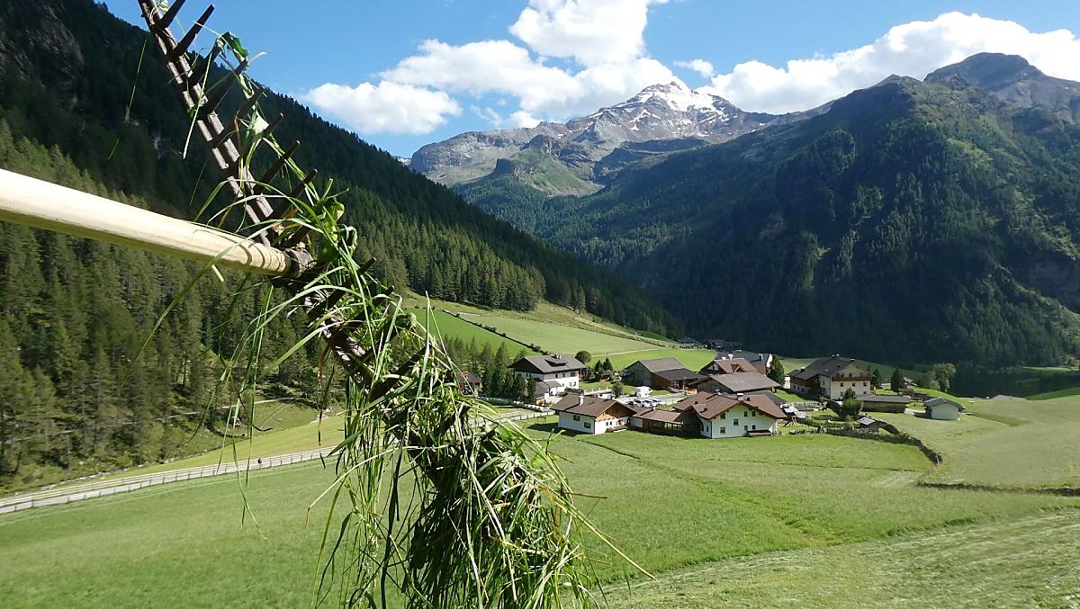 La raccolta del fieno al maso Oberhof