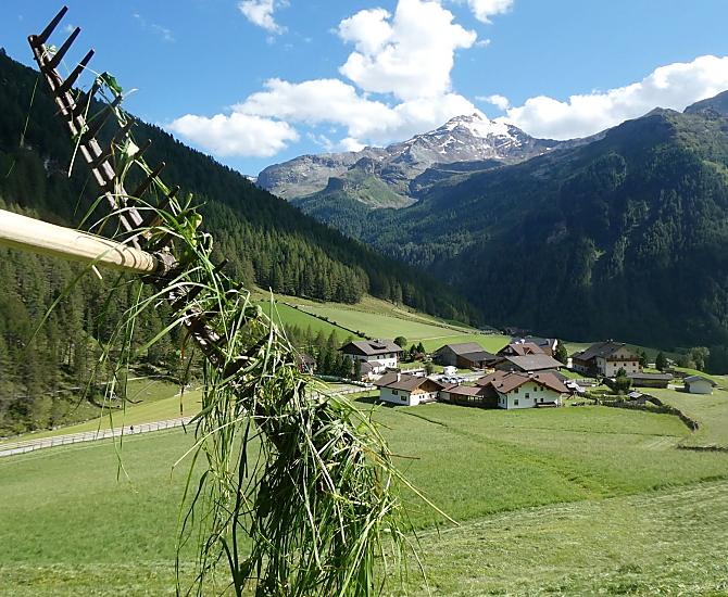 La raccolta del fieno al maso Oberhof
