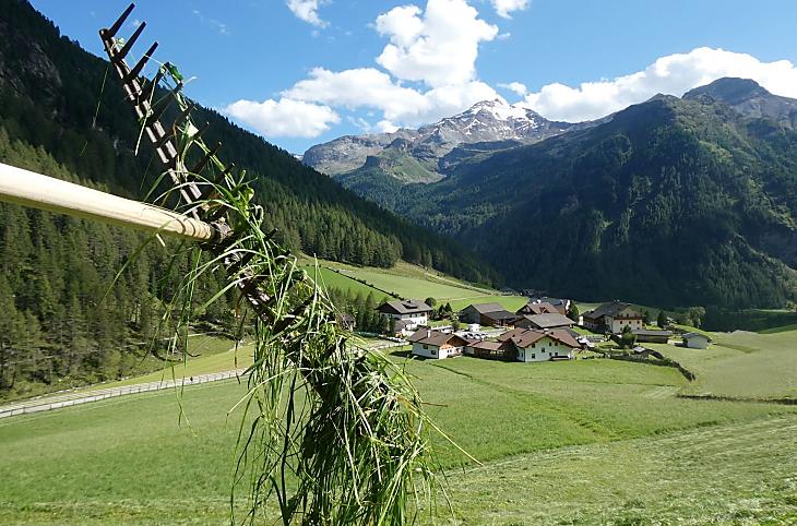 La raccolta del fieno al maso Oberhof