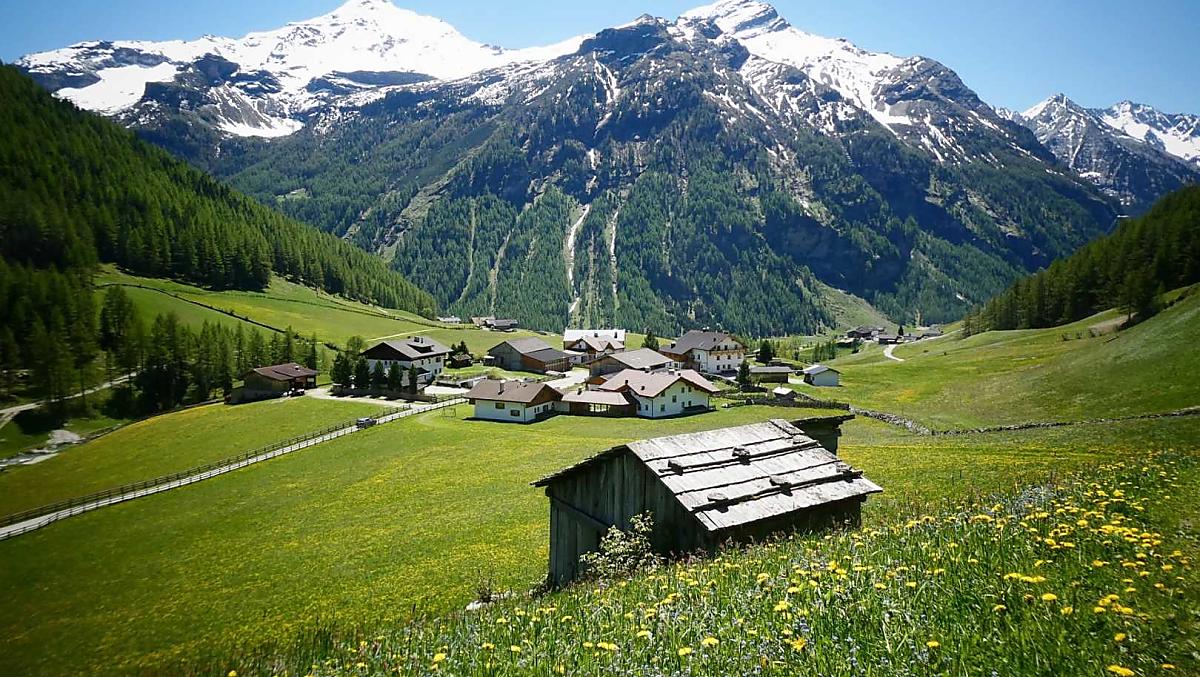 Prati fioriti di primavera intorno all'Oberhof. Lo Schneebigen Nock sempre in vista.