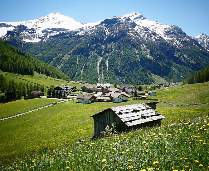 Prati fioriti di primavera intorno all'Oberhof. Lo Schneebigen Nock sempre in vista.
