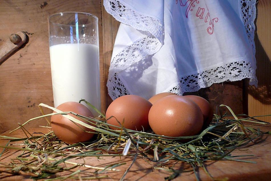 Ogni giorno latte fresco dalle nostre mucche e uova da galline ruspanti.