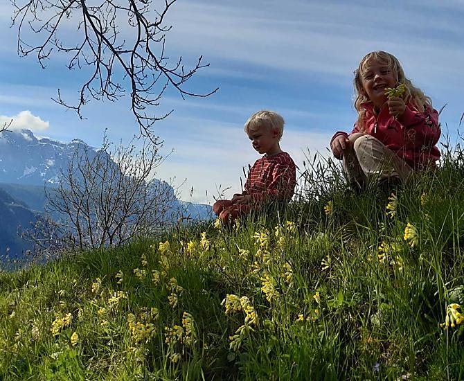 Frühaufhof - Bildergalerie Photo