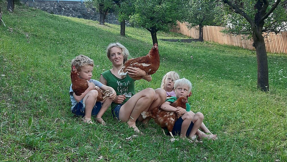 Dalle galline