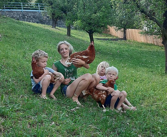 Dalle galline
