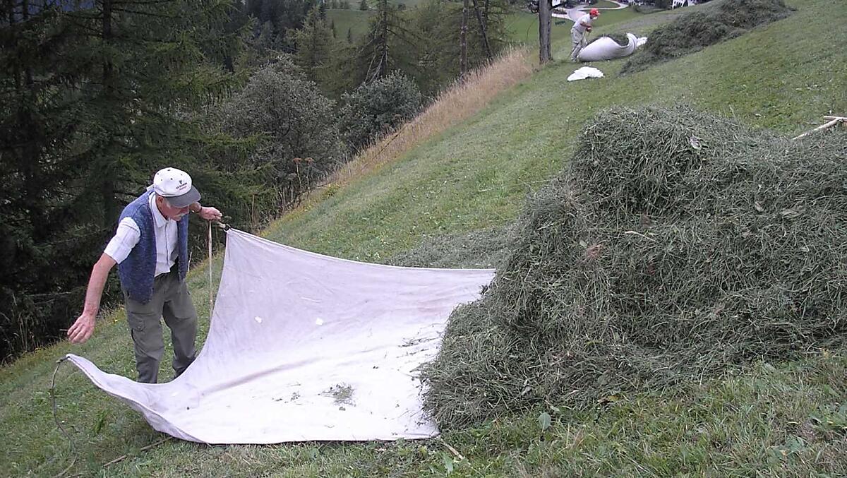 In estate, la raccolta del fieno è il lavoro principale. Ogni agricoltore svolge il suo lavoro con diligenza e con gioia.