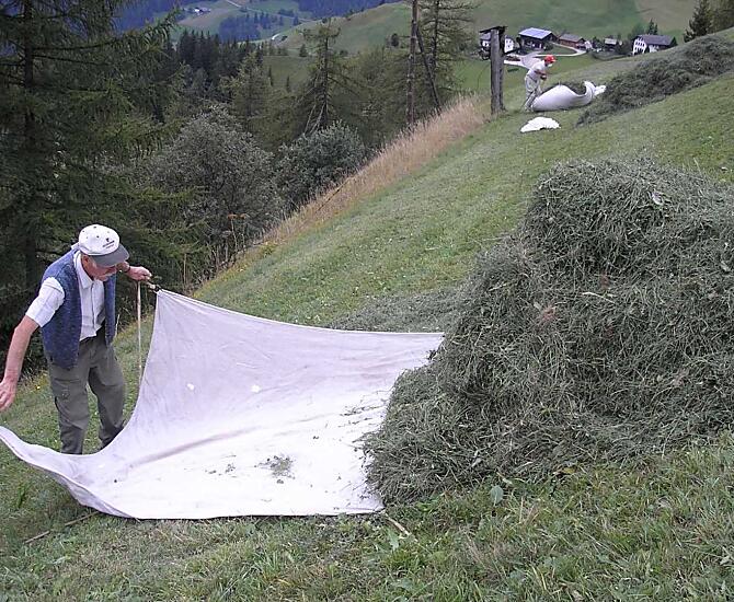 In estate, la raccolta del fieno è il lavoro principale. Ogni agricoltore svolge il suo lavoro con diligenza e con gioia.