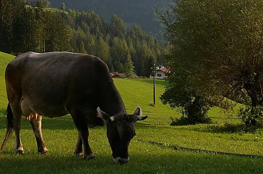 Hof zu Fall - Liste Photo