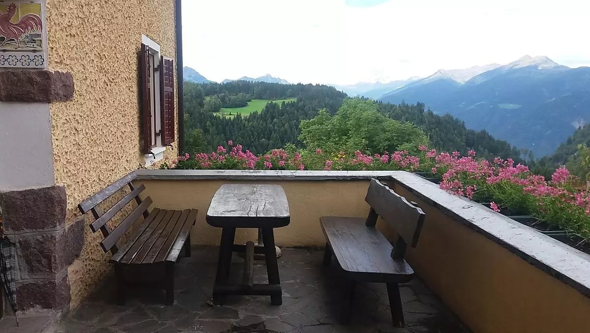 Steinerhof - Bildergalerie Photo