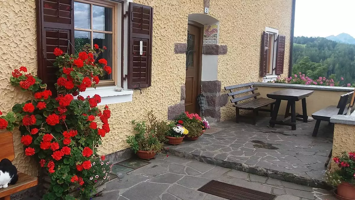 Steinerhof - Bildergalerie Photo