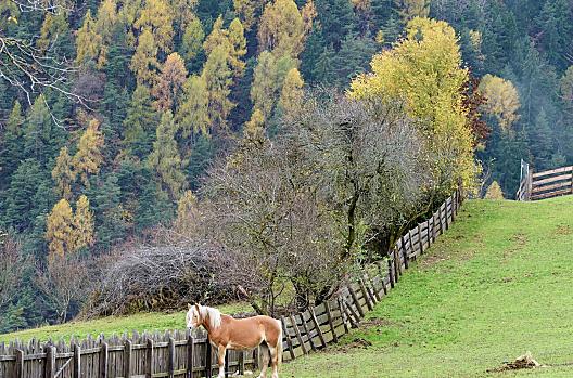 Schlosshof - Liste Photo