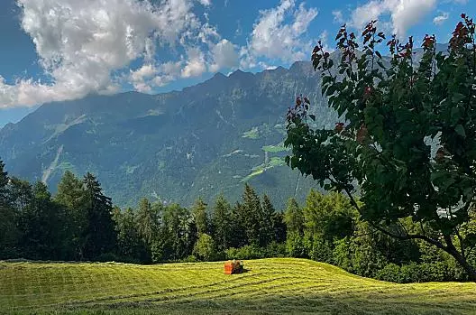 Flatscherhof - Liste Photo